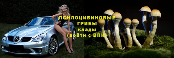 СК Алзамай