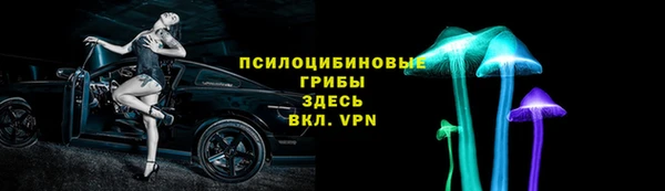 СК Алексин