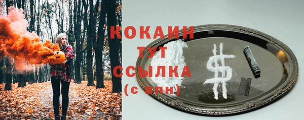 СК Алзамай