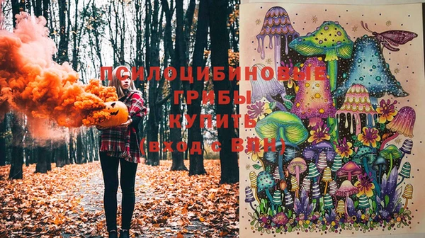 СК Алексин