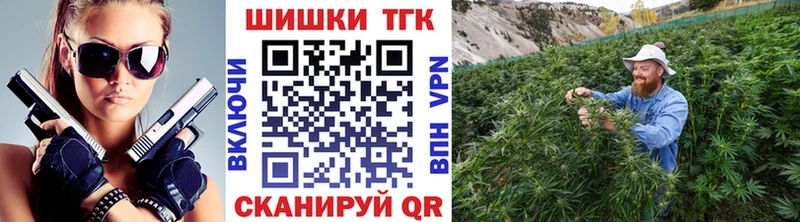 Бошки марихуана планчик  Новопавловск 